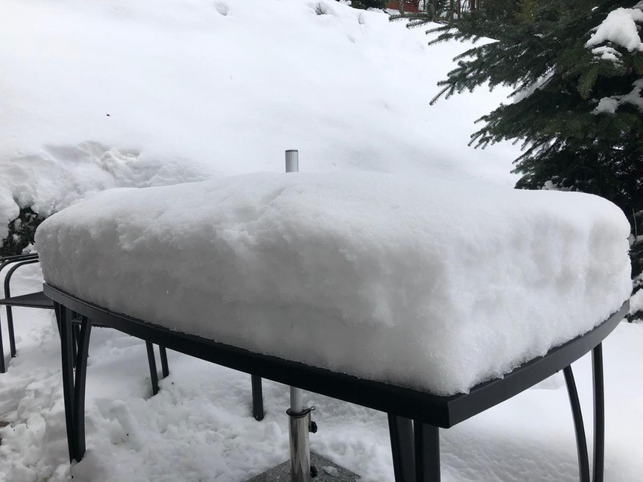 Modern Chalet Na Zlatniku Zlata Olesnice  Zewnętrze zdjęcie